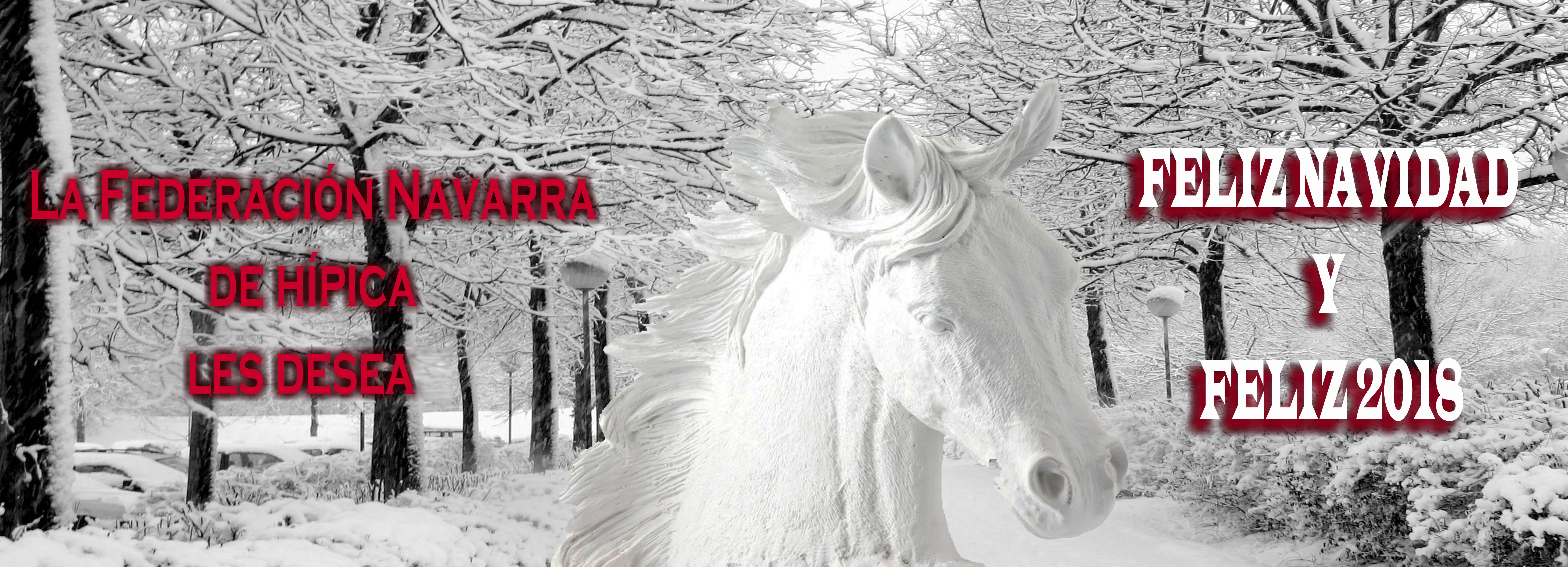 EGUBERRI ON GUZTIOI / FELIZ NAVIDAD A TOD@S